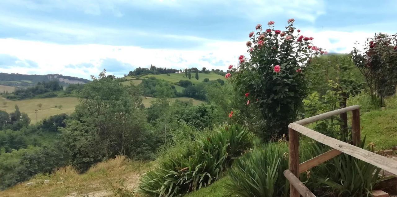 우르비노 Country House Ca' Vernaccia 게스트하우스 외부 사진